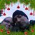 Tiffany Bishop's profile image