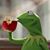 Lupe Gonzalez's profile image