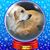 Rose Flaherty's profile image