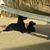Shawn Dozier's profile image