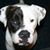 Marty Lowder Sturgeon's profile image