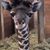 Mary Beth Nosal's profile image