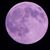 Karla Dorman's profile image