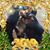Barb Anderson's profile image