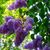 Connie LiaBraaten's profile image