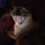 Cheryl Heffernan Seaman's profile image