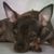 Kim Weyand's profile image