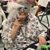 Judy Hayes's profile image