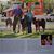 Angie Barnette Moore's profile image
