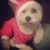 Oz Lo's profile image