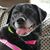 Rebecca Chapman Gainey's profile image
