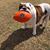 John Stephen Vlasis's profile image