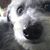 Gail Belvill's profile image