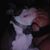 Robert Roman's profile image