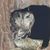Jenna French Boucher's profile image