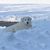 Donna DeFrancis's profile image