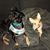Laci French Hall's profile image