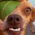 Hailey Grangaard's profile image