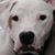 Amelia Latham's profile image