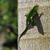 Robert Galus's profile image