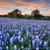 Betsy Wendt Egger's profile image