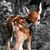 Rachel Taphouse's profile image