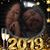 Jane Buchanan Morin's profile image