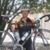 Todd Voris's profile image