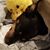 Ann Marie N Booth's profile image