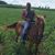 Adam Scott Mead's profile image