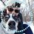Tami Foote's profile image