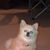 Casey Banka's profile image