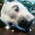 Aidan Niblock's profile image