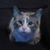 Shannon Lynn Barber's profile image