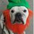 Margaret Felton's profile image