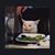Julie Rollins Shannon's profile image