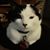 Faye Spencer-Hawkins's profile image
