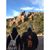 Deyanira Coddington's profile image