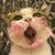 Alejandro Underdog's profile image