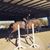 Bre Cooper Coffman's profile image