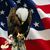 Rickey Hedger's profile image