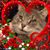 Lisa Medley's profile image