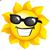 Lyn Craig Gurski's profile image
