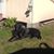 Pete Parmenter's profile image