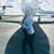 Chinni Ganguli's profile image