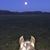 Kim Burlew's profile image