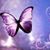 Lisa Pavlocak's profile image