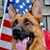 Sherri Ann's profile image