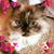 Lola Smith's profile image