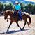 Shirin Rupprecht Amier's profile image